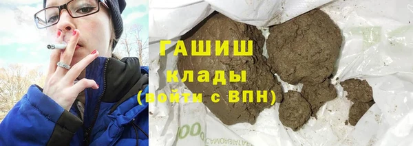 шишки Богородицк