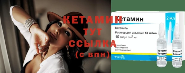 шишки Богородицк