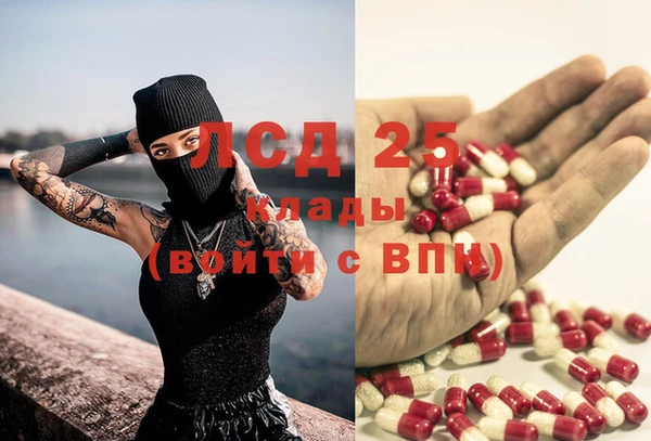 ПСИЛОЦИБИНОВЫЕ ГРИБЫ Богданович