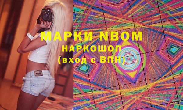 ПСИЛОЦИБИНОВЫЕ ГРИБЫ Богданович