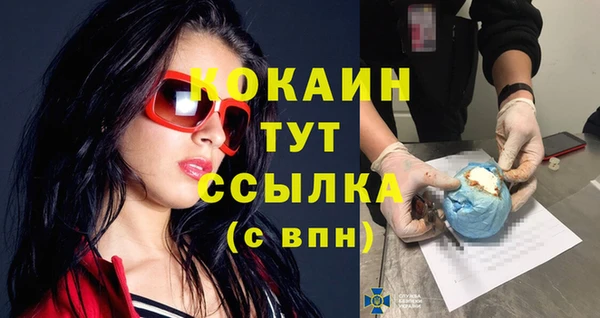 ПСИЛОЦИБИНОВЫЕ ГРИБЫ Богданович