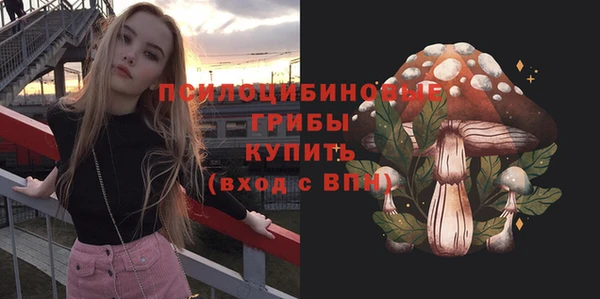 прущая мука Бородино