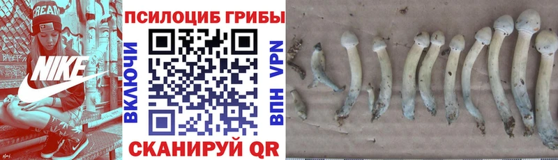 Купить закладки  Коряжма  Галлюциногенные грибы Magic Shrooms 